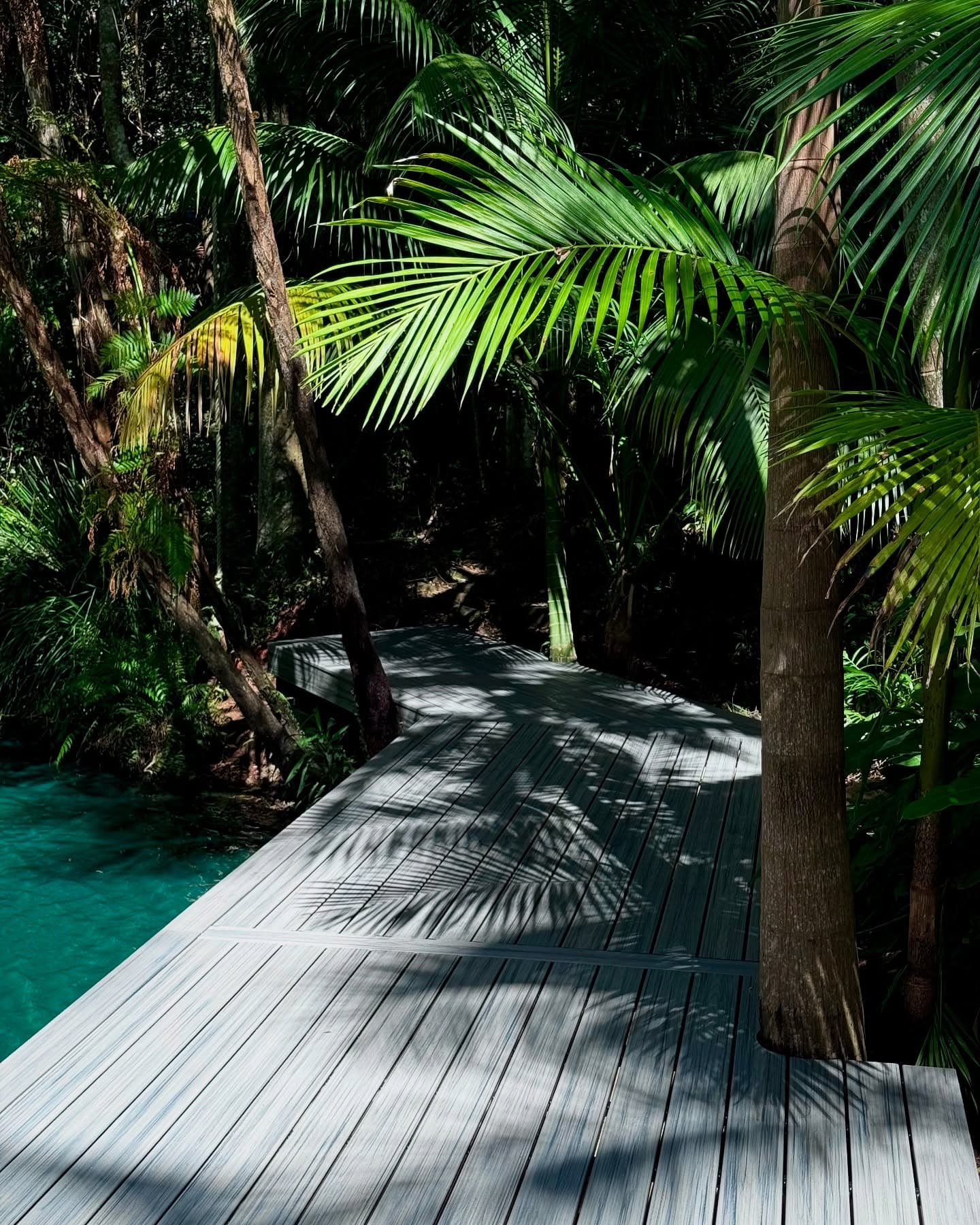 Composite timber deck through tropical pool garden